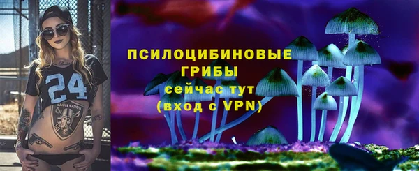 тгк Богородицк